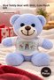 10 Pieces of Plush Teddy Bears – Couple Themed Blue Bear with T-Shirt, Cute Plush Toy for Gift, Plush Teddy