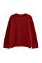Wardrobe Essentials Bordo Moher Görünümlü Basic Büyük Beden Triko Kazak TBBAW27AN00072 - 3