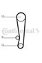 Set curea de distribuție CT569K1 - 3