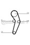 Timing belt set CT988K2 - 3
