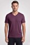 Men's Burgundy Bambo V-Neck Half Sleeve T-Shirt