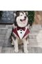 Dog Tuxedo Collar with Bowtie,Adjustable Formal Pet Bandana for Weddings and Parties,Grey,Small - 5