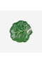 Cabbage Green Ceramic Serving Plate 25 cm - 4