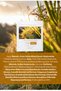 Rice Extract Brightening, Moisturizing and Pore Tightening Daily 10-Piece Sheet Mask - 6
