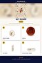 Gold Lux Ceramic Wishing Tree 14 Piece Breakfast Set, Set - 3