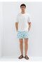 Crab Printed Green Swim Shorts 0912337-70847 - 2