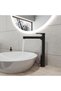 Lento Black Tall Sink Faucet - 3
