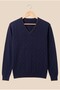 Standard Fit Navy Blue Non-Pilling Regular Cut V-Neck Knitwear Sweater - 7