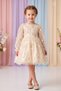 Baby Girl Dress Long Sleeve 3D Floral Buckle Included Vintage Bowknot Birthday Party Wedding Special Occasion Kids Dress - 2