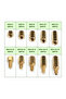 300Pcs M2 300Pcs M2/M3 Hex Head Copper Pillar Brass Standoff Spacer Screws Threaded Pillar Male/Fem - 5
