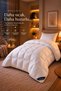 Single Comfort Microfiber Quilt