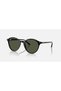 2230 901/31 51 Women's Sunglasses