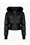 VENOM FOXY MONT
