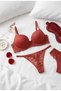Padded Supported Bikini Panties Push up Bra Set