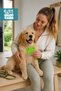 Dog Cat Lice Comb Flea Tick Lice and Nit Comb Metal Comb Set - 8