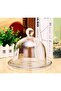 Fufu Dessert Plate With Lid, Multifunctional Plate, European-Style Household Lead-Free Glass Lid Round Pastry Dust Box Lemon - 5