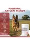 Dog UTI Treatment Cranberry Supplement for Dogs, 120 Soft Chews | Natural Urinary Tract Infection Support and Healthy Bladder Control – Made with Echinacea and Vitamin C - 3