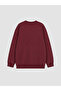 Two Mt Shop Quality Lcw Kids Burgundy 3 Thread Printed Standard & Regular Boys' Sweatshirt - 3