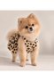Special Design Dog Dress Dog Collar - 100% Cotton Muslin - 3