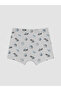 Rmz Gi̇yi̇m Farkiyla Boys' Printed Boxer 3-Pack - 3