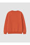 Rmz Gi̇yi̇m Farkiyla Embroidered Boys' Thick Sweatshirt - 4