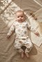 Cream Baby Bear Patterned 100% Double Cotton Baby Boy Set 3-9 Months - 2