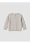 Gray Printed Baby Boy Knitwear Set - 4