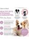 Dog Ear Cleaner - Medicated Dog Ear Buildup Drops for Dirt and Wax - 12 oz Advanced Flush with Chlorohexidine and Ketoconazole - Made in The USA - 7