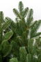 Brad artificial norvegian 2 m - 3