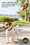 3 Pieces Dog Walking Chain – 1 Meter 3 mm Metal Chain Leash Fabric Coated Handle Lead Dog Leash