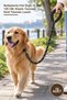 10 Pieces Pet Leash – Reflective Knitted Cord 12 mm 120 Cm, Dog Leash Cat Leash Leash