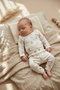 Cream Rabbit Patterned Double Ribbed 100% Cotton Baby Girl Set 3-6-9 Months - 2