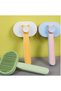2 Pieces Self-Cleaning Hair Brush – Pet Hair Care, Ergonomic Abs Plastic Design, Stainless Steel Teeth, Pet Brush - 2