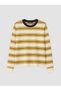 Yellow Crew Neck Striped Men's Knitwear Sweater - 6