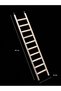 Wooden Bird Ladder 45X8 cm – 10-Step Cage Ladder with Hooks – for Budgie, Cockatiel, and Parakeets - 2