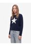 Long Sleeve Crew Neck Star Patterned Knit Sweater