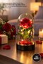 10 Pieces of Rose Dome – Led Illuminated Transparent Dome with Single Artificial Rose Base Rose Petals 10X18 cm Table Nightstand Shelf Decor Rose Dome