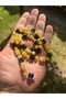 Certified Original Drop Amber Adult Necklace - 2