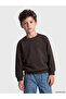 Two Mt Shop Quality Lcw Kids Brown 3 Thread Rastered Plain Standard & Regular Boys' Sweatsh