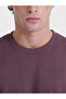 Vizyon New Season Plum Color Crew Neck Men's Thick Sweatshirt - 3