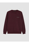 Vizyon New Season Plum Color Crew Neck Printed Men's Sweatshirt