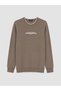 Lcwaikiki Classic Brown Crew Neck Men's Thick Sweatshirt - 4