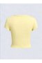 Women's Yellow Sausage Dog Printed Crew Neck Tight Crop Tshirt - 3