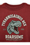 Dinosaur Printed Crew Neck Long Sleeve Sweatshirt - 3