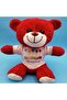 5 Pieces Happy Birthday T-Shirt Plush Teddy Bear – Birthday Gift Plush Toy, Red, Soft, Birthday Bear - 2