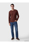 Vizyon New Season Brown Crew Neck Long Sleeve Men's T-Shirt - 2