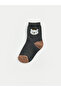 Quality Pieces from Çelebi Store Embroidered Baby Boy Socks 5-Piece Set - 3