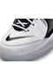 Air Zoom Flight 95 Juststep - 7