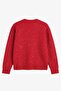Red Crew Neck Sequin Sweater - 5