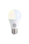 LED Bulb Duo Gen3 with two bulbs, E27 socket - 4
